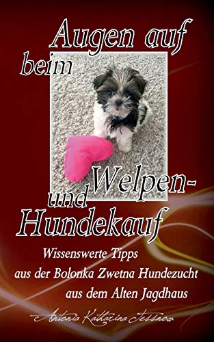 Augen auf beim Welpen- und Hundekauf: Wissenswerte Tipps aus der Bolonka Zwetna Hundezucht aus dem Alten Jagdhaus Augen auf beim Welpen- und Hundekauf: Wissenswerte Tipps aus der Bolonka Zwetna Hundezucht aus dem Alten Jagdhaus