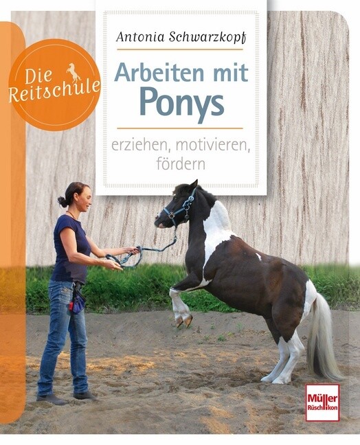 Arbeiten mit Ponys von Müller Rüschlikon