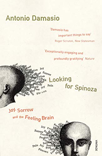 Looking For Spinoza: Joy, Sorrow and the Feeling Brain von Vintage