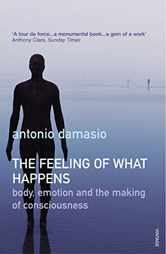 The Feeling Of What Happens: Body, Emotion and the Making of Consciousness von Vintage