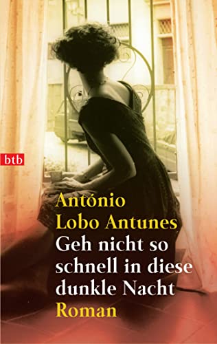 Geh nicht so schnell in diese dunkle Nacht: Roman