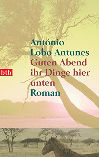 Guten Abend ihr Dinge hier unten: Roman