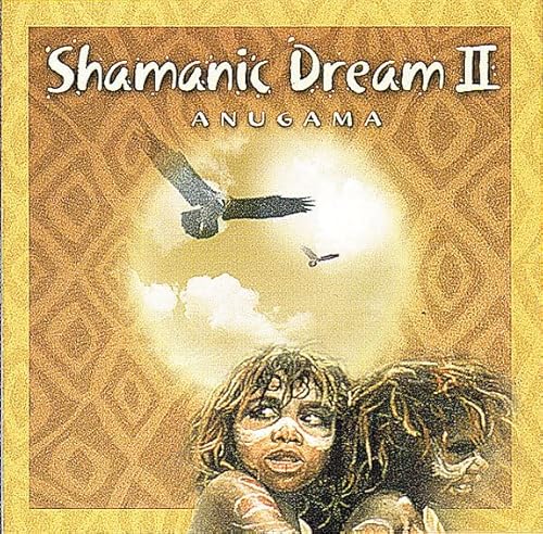 Shamanic Dream.Vol.2,1 Audio-CD