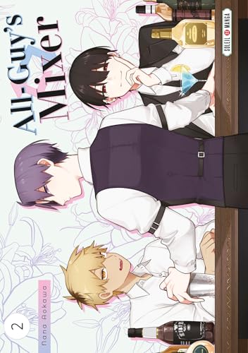 All-Guy's Mixer T02 von SOLEIL