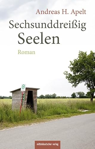 Sechsunddreißig Seelen: Roman von Mitteldeutscher Verlag