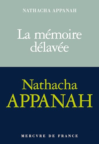 La mémoire délavée: Roman