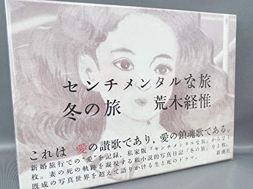 Diary Sentimental Journey