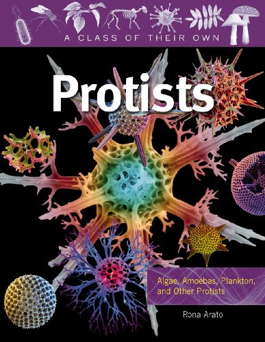 Protists: Algae, Amoebas, Plankton, and Other Protists (A Class of Their Own)