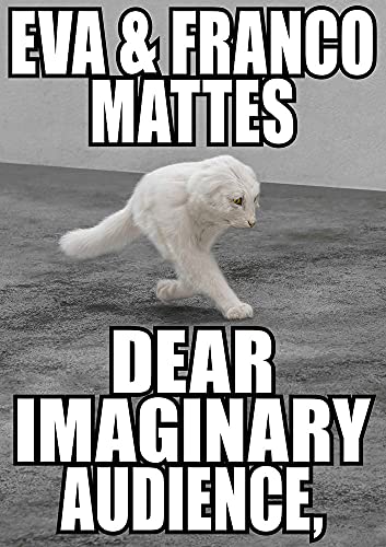 Eva & Franco Mattes. Dear Imaginary Audience