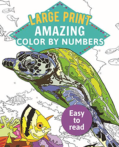 Amazing Color-By-Numbers Large Print (Sirius Large Print Color by Numbers Collection)