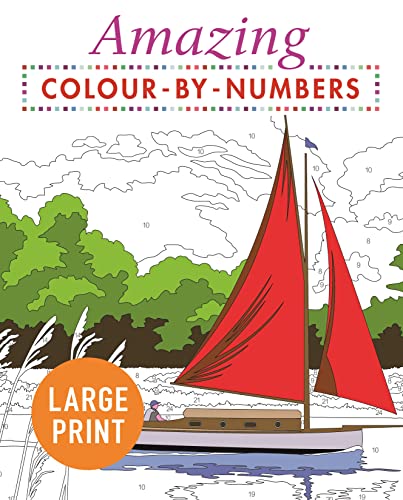Amazing Colour-by-Numbers Large Print (Arcturus Large Print Colour by Numbers Collection) von Arcturus