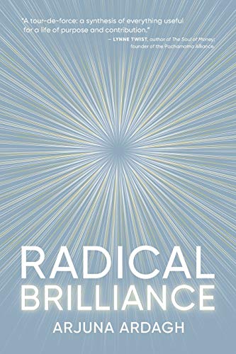Radical Brilliance: The Anatomy of How and Why People Have Original Life-Changing Ideas von Awakening Coaching