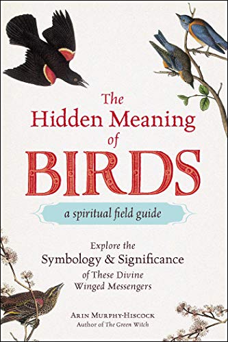 The Hidden Meaning of Birds--A Spiritual Field Guide: Explore the Symbology and Significance of These Divine Winged Messengers von Adams Media