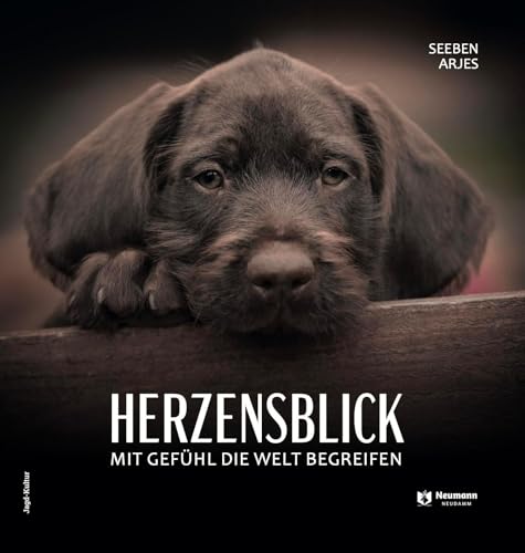Herzensblick: Mit Gefühl die Welt begreifen