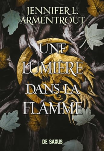 La Chair et le Feu (broché) - Tome 02 Une Lumière dans la flamme: Tome 2 von DE SAXUS