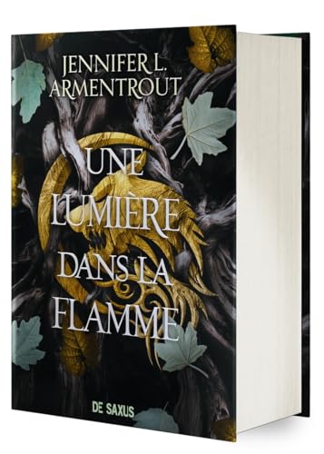 Une Lumière dans la flamme (relié collector) - Tome 02 La Chair et le Feu: Tome 2 von DE SAXUS