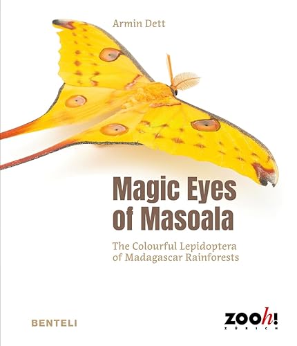 Magic Eyes of Masoala: The Colourful Lepidoptera of Madagascar Rainforests von Benteli