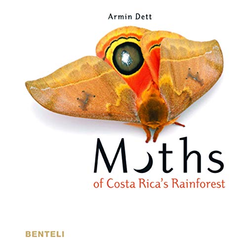 Moths of Costa Rica's Rainforest von Benteli Verlags