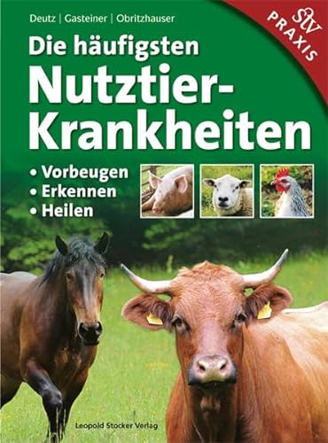Die häufigsten Nutztierkrankheiten: • Vorbeugen • Erkennen • Heilen: Vorbeugen, Erkennen, Heilen; Praxisbuch von Stocker Leopold Verlag