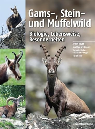 Gams-, Stein- und Muffelwild: Biologie, Lebensweise, Besonderheiten von STOCKER, L