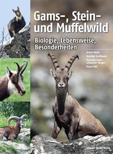 Gams-, Stein- und Muffelwild: Biologie, Lebensweise, Besonderheiten von Stocker Leopold Verlag