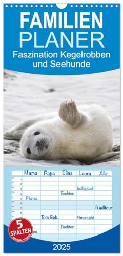 Familienplaner 2025 - Faszination Kegelrobben und Seehunde mit 5 Spalten (Wandkalender, 21 cm x 45 cm), CALVENDO