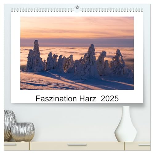 Faszination Harz 2025 (hochwertiger Premium Wandkalender 2025 DIN A2 quer), Kunstdruck in Hochglanz von CALVENDO