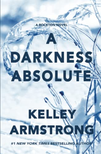 A Darkness Absolute (Rockton, Band 2)