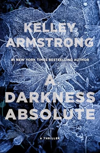 A Darkness Absolute: A Rockton Thriller (City of the Lost 2)