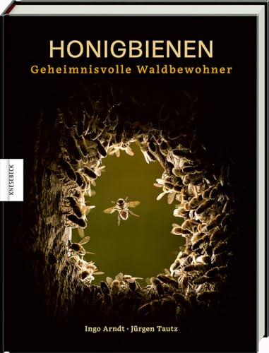 Honigbienen - Geheimnisvolle Waldbewohner: Bildband Naturfotograie von Knesebeck