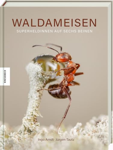 Waldameisen: Superheldinnen auf sechs Beinen. Naturfotografie-Bildband mit einmaligen Einblicken in das Leben der Insekten von Knesebeck