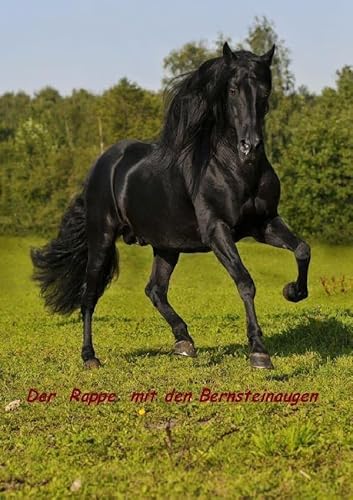Dancer - Der Rappe mit den Bernsteinaugen von epubli