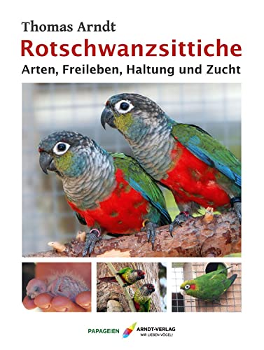 Rotschwanzsittiche: Arten, Freileben, Haltung und Zucht