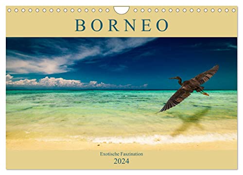 Borneo - Exotische Faszination (Wandkalender 2024 DIN A4 quer), CALVENDO Monatskalender