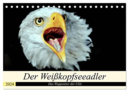 Der Weißkopfseeadler - Das Wappentier der USA (Tischkalender 2024 DIN A5 quer), CALVENDO Monatskalender von CALVENDO
