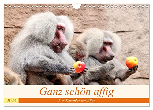 Ganz schön affig - Der Kalender der Affen (Wandkalender 2024 DIN A4 quer), CALVENDO Monatskalender von CALVENDO