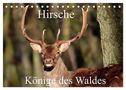 Hirsche - Könige des Waldes/Geburtstagskalender (Tischkalender 2024 DIN A5 quer), CALVENDO Monatskalender