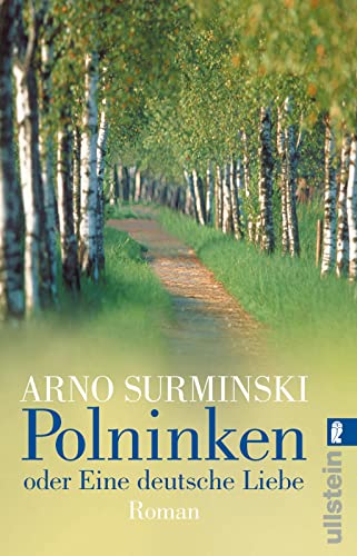 Polninken (0): Roman von ULLSTEIN TASCHENBUCH