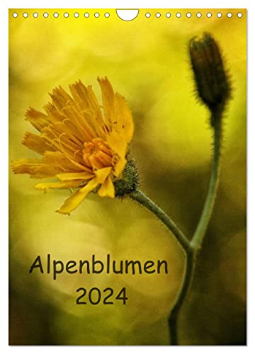 Alpenblumen 2024 (Wandkalender 2024 DIN A4 hoch), CALVENDO Monatskalender von CALVENDO