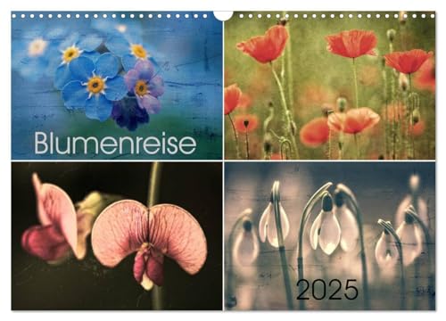 Blumenreise 2025 (Wandkalender 2025 DIN A3 quer), CALVENDO Monatskalender von CALVENDO