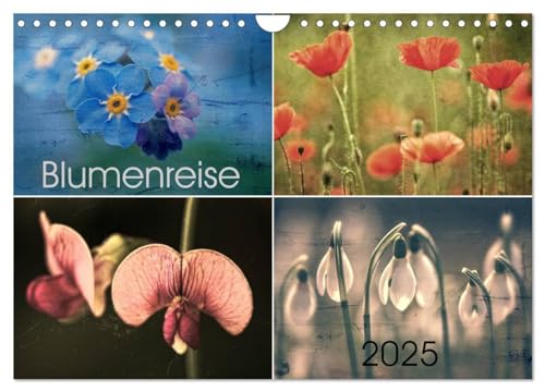 Blumenreise 2025 (Wandkalender 2025 DIN A4 quer), CALVENDO Monatskalender von CALVENDO