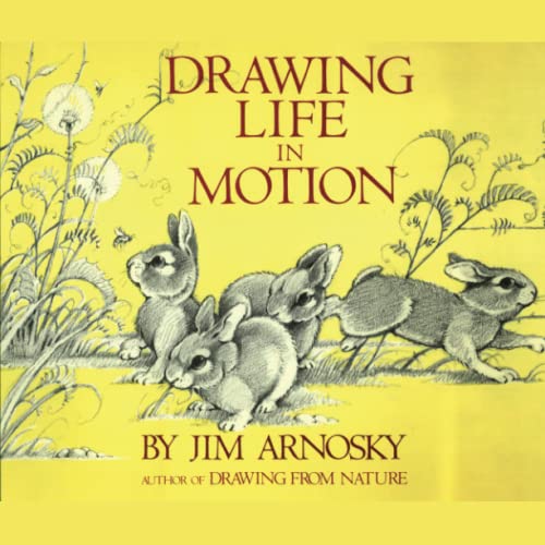 Drawing Life in Motion von iNK Books & Media