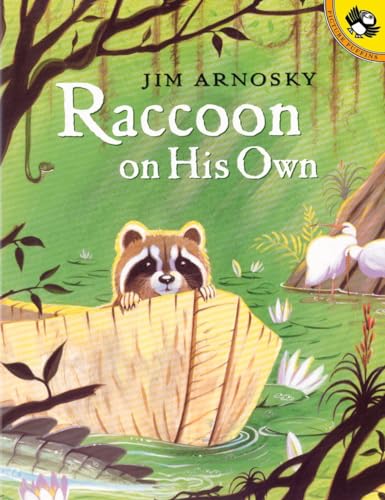 Raccoon On His Own (Picture Puffin Books)