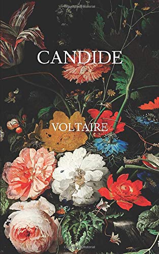 Voltaire's Candide von Origami Books