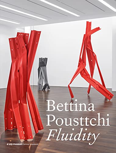 Fluidity von DISTANZ Verlag