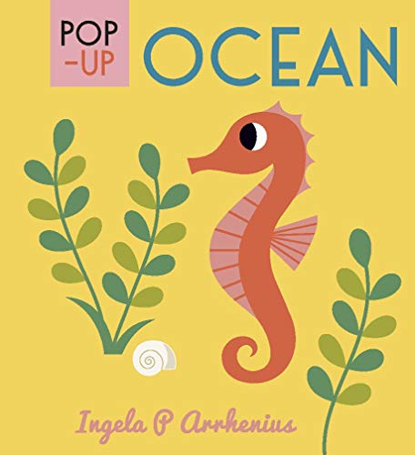 Pop-up Ocean Pop-up Ocean