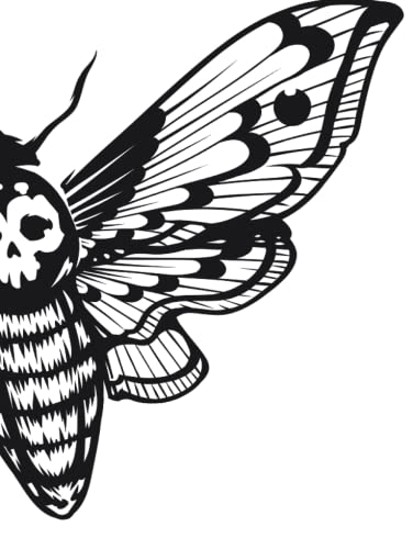 Hardcover Death Moth Sketchbook: Death Head Moth von Independently published