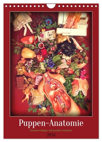 Puppen-Anatomie (Wandkalender 2024 DIN A4 hoch), CALVENDO Monatskalender: Dreizehn Collagen voll morbider Schönheit (CALVENDO Kunst) von CALVENDO
