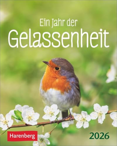 Ein Jahr der Gelassenheit Mini-Geschenkkalender 2026: Entspannt durchs Jahr mit dem kleinen täglichen Jahreskalender. Kleiner Tisch-Kalender zum ... im Alltag (Mini-Geschenkkalender Harenberg) von Harenberg