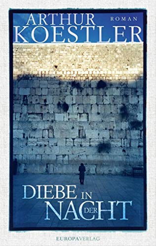 Diebe in der Nacht: Roman Diebe in der Nacht: Roman